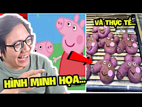 Hình Ảnh Chỉ Mang Tính Chất Minh Họa