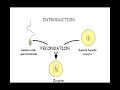 FMPM MOOCs - Fécondation humaine (Part 1) - Pr. Y. Ait Benkaddour