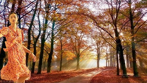 Ca nhạc SG trước 75 - Như Ngọn Buồn Rơi - Sáng tác: Từ Công Phụng  - Giọng hát: Tuấn Ngọc