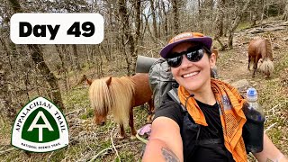 Day 49  the PONIES!  | AT Thru Hike 2024