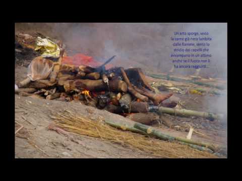 Video: Ritratti Di Varanasi, India - Rete Matador
