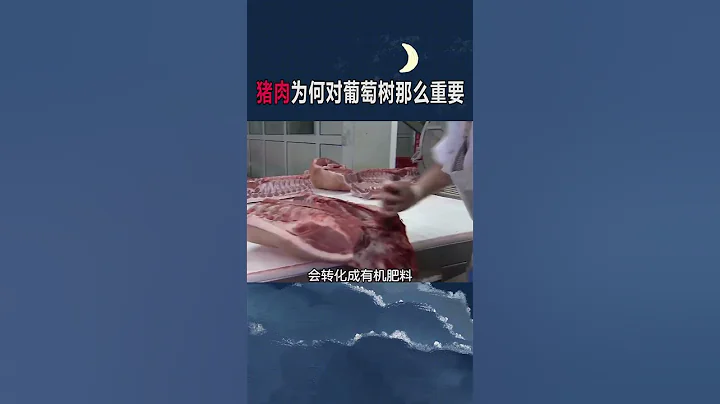 探索科学世界：打破神秘的面纱，揭示科学的力量和魅力 - 简明易懂的科普系列 #科学 #科普#探索#教育#科技#理解科学 #通俗易懂 #Science #Education #Mystery #Tech - 天天要闻