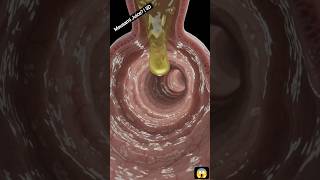 What Happens Inside Your Body After Drinking Mausami Juice? | 3D Animation#sorts #health