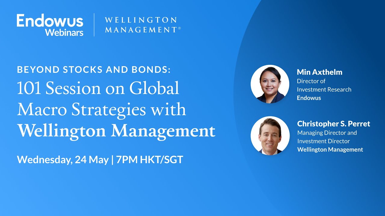 101 Session on Global Macro Strategies with Wellington Management YouTube