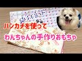 【犬のおもちゃ】ポメチワみうくんの絶対喜ぶ手作りおもちゃ