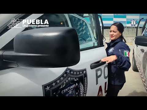 Revista Vehicular Policía