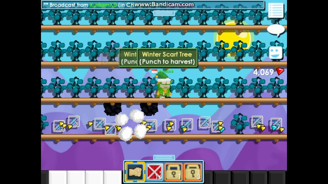 Growtopia Harvesting 720 Winter Scarf trees ! YouTube