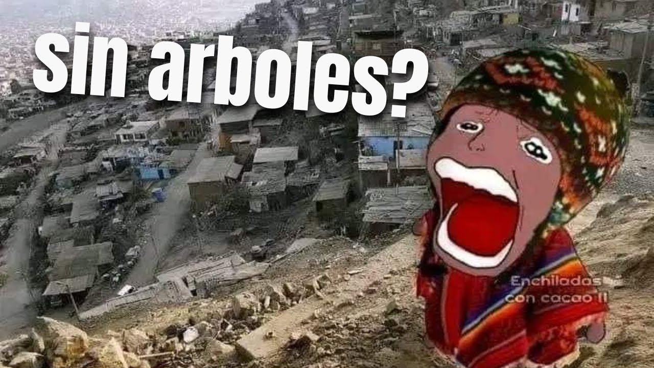 Por qué no hay árboles en Perú?