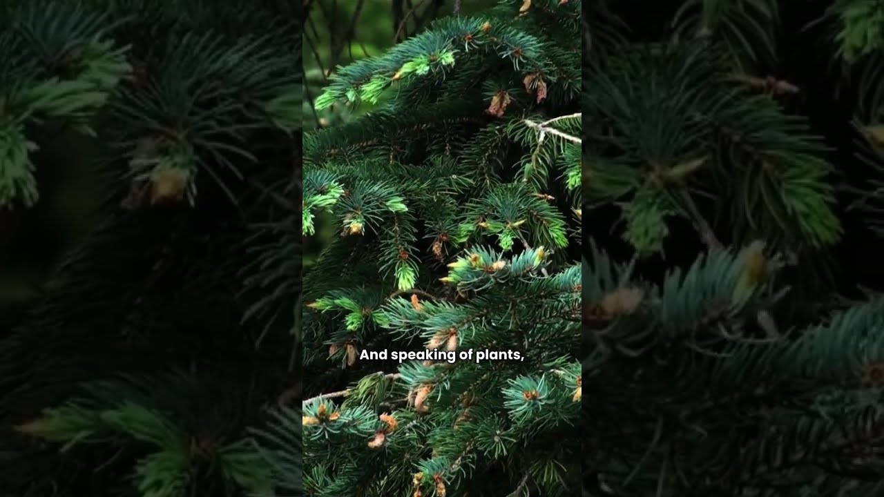 5 Amazing Nature Facts You Won T Believe 