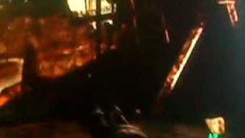 Fallout 3 - Minigun "Eugene"