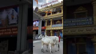 Bayasidakke Sikkare Adu Devara Preethi 🙏 | Devara Vakyada Artha