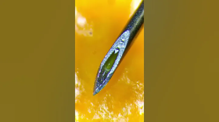 Used syringe under the microscope is insane (real!)
