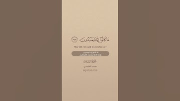 سورة القصص [ 62 : 64 ]  ~ الشيخ سعد الغامدي