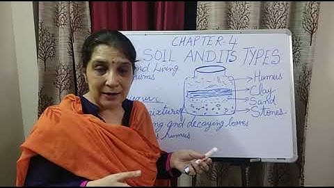 CLASS 3 SCIENCE Ch-4: Soil And Its Types (Part-2)