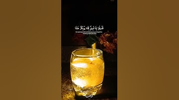 ولو شئنا لآتينا كل نفس هداها القارئ عبدالرحمن مسعد