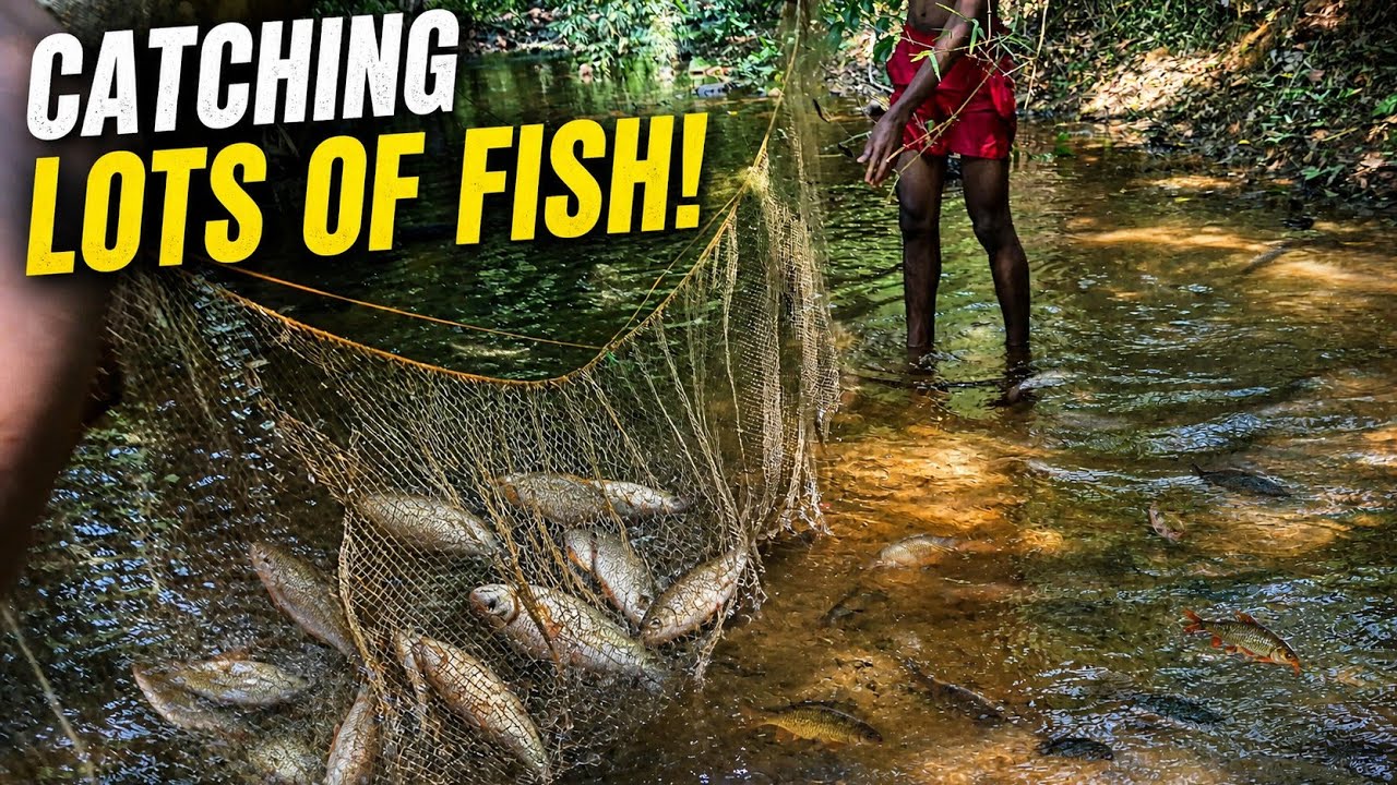 Countryside Fishing Adventure 🎣 | Catching Fresh Fish the Traditional ...