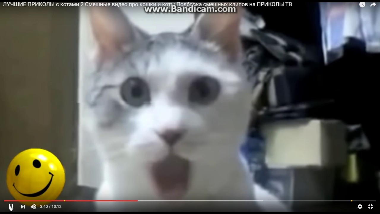 Когда узнал, что вышел Седьмой Айфон - YouTube