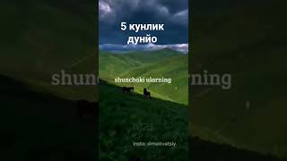 Мазмунли Хайот