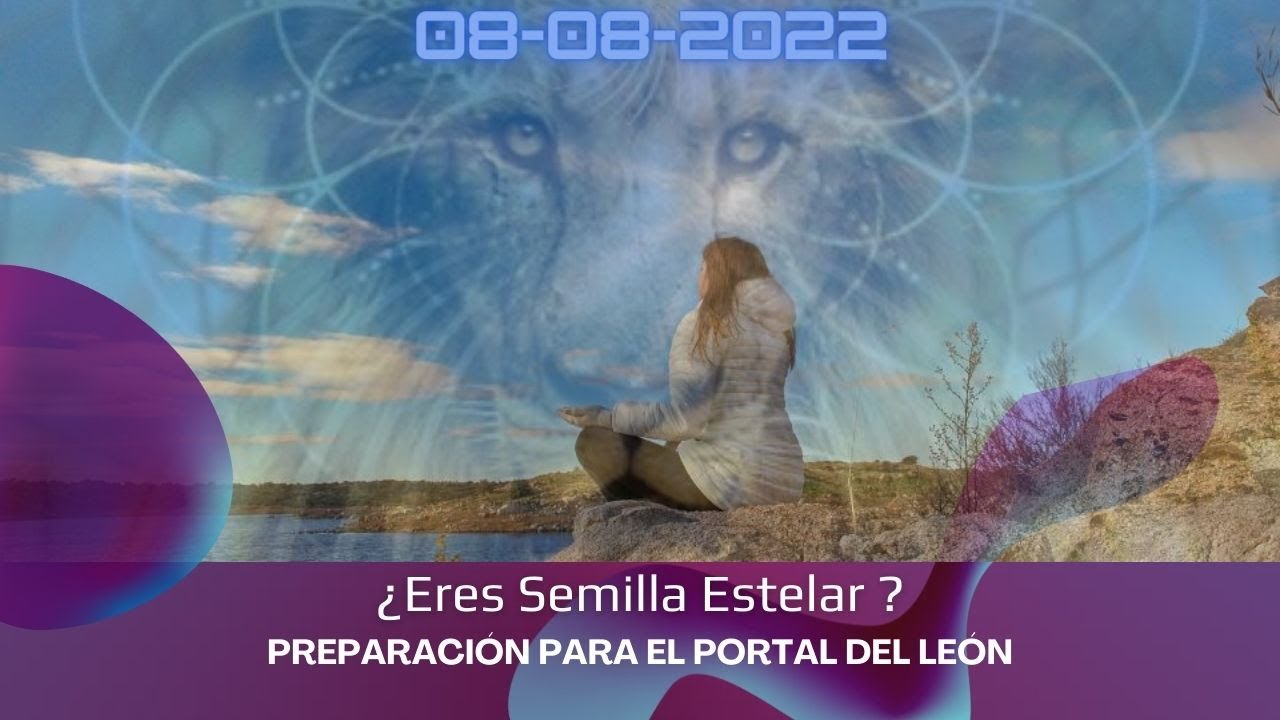 Semillas Estelares en el Portal del León 8/8 - YouTube