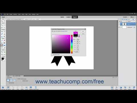 Photoshop Elements 2020 Tutorial Using the Color Picker Adobe Training