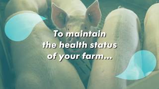 COOPERL FARMAPRO Six steps disinfection protocol in farm