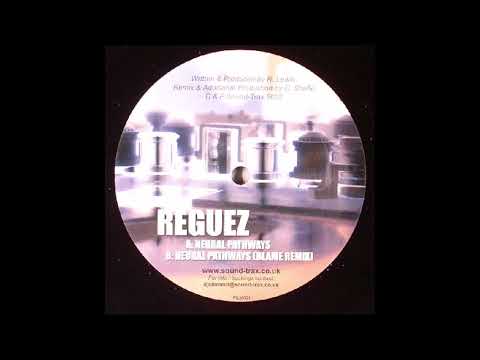 Reguez — Reguez - Neural Pathways (Blame Remix)