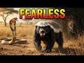 Small but Deadly… Honey Badger vs Snake &amp; Leopard  #animal #discovery #snake #lepord 