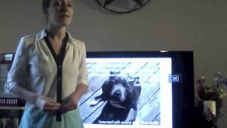 Persuasive Speech