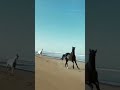 يالله برزق ماحسبنا له حساب يالله برزق ماحسبنا له حساب
