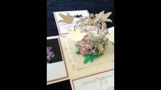 Birdcage Exploding box invitations