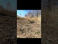 Heavy MG Bunker Battle. Concrete and Steel Reinforced 1/16 scale Bunker Shooting pentation ballistic