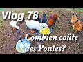 Combien me cote les poules vlog 78