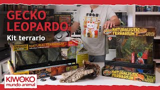 ¡SUPER KIT PARA TU GECKO LEOPARDO! 🦎【¡Todo lo que necesitas! ✅】