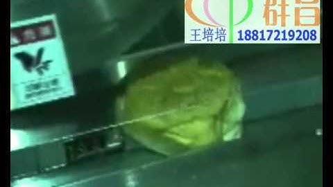 flow wrapping machine,food shrink wrap machine,cakes/sauce/butter/Instant noodle packing machine