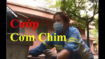 Công nhân vệ sinh ở Hà Nội bị nợ lương trên 6 tháng nay .... kêu cứu.