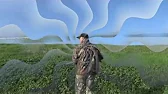 прогулки по природе
