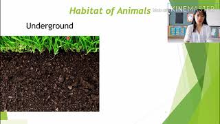 SAIMIT E-LEARNING Tutorial Class: Living Things and Their Environment 1