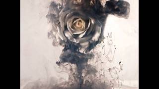 Editors - The Phone Book