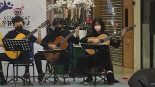 Classical Guitar Performance