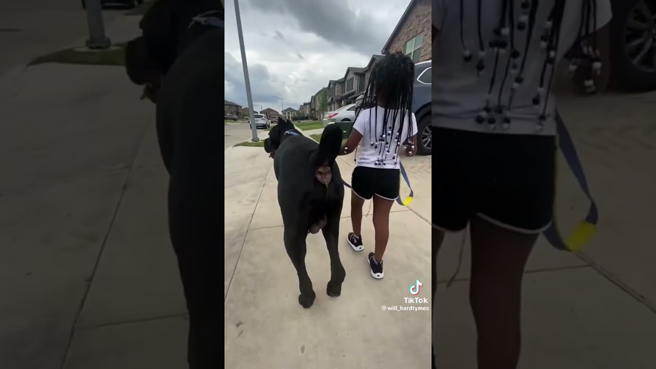 Nia & Ghost 2020 vs Nia & Ghost 2023 