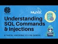 Ethical Hacking v2 NETLAB+ 14 - Understanding SQL Commands and Injections