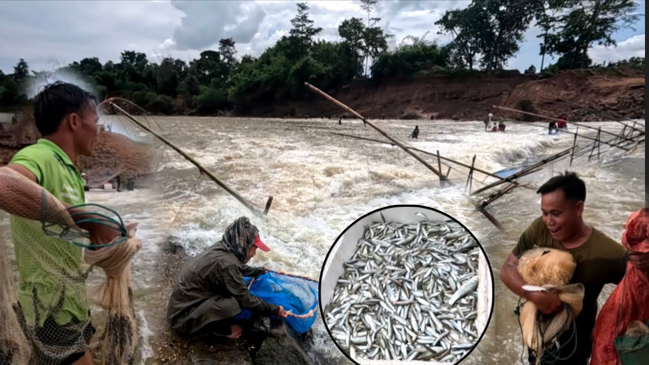 ຊາວບ້ານແຫ່ກັນລົງຫາປາ//ชาวบ้านแห่กันลงหาปลา Dong Una