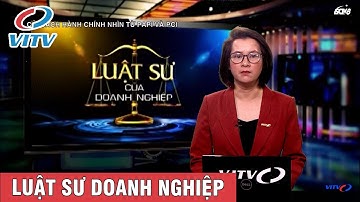 Cải cách hành chính nhìn từ PAPI và PCI | LUẬT SƯ DOANH NGHIỆP VITV