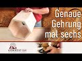 Gehrungen präzise schneiden - So geht es an JEDER Tischkreissäge.