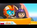 Top Wing Ptasia Akademia Rod Ratuje Małego Misia Nick Jr