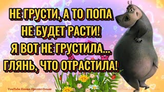 Улыбнись😁Это Тебе Для Отличного Настроения! Классная И Весёлая Музыкальная Открытка! Хорошего Дня!