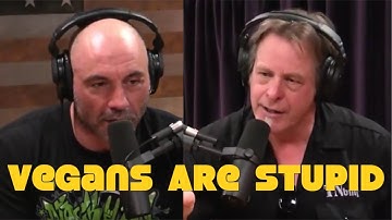 Ted Nugent: Vegans Are Stupid & Kill More Animals
