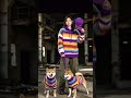 Cozy alpaca stripe hoodies for me & my dog! 🌈🦙 Link in bio! #Shorts #dogmom #matchingoutfits