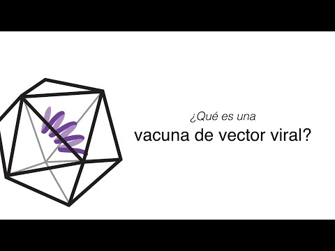 Video: ¿Cómo funciona un vector viral?