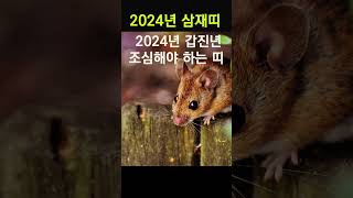 2024년 갑진년 조심해야 하는 띠! 띠별운세! 삼재여서 좋고 나쁜 띠별 운세! #사주, #띠별운세, #금전…